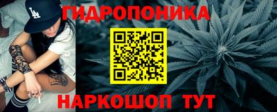 ПСИЛОЦИБИНОВЫЕ ГРИБЫ Гусиноозёрск