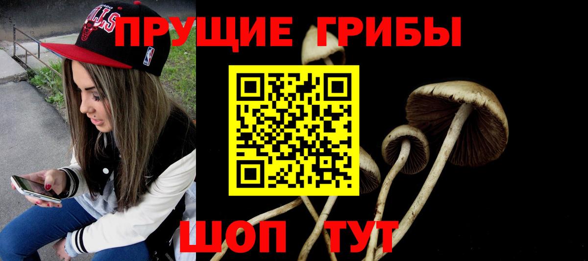 Галлюциногенные грибы Magic Shrooms  Вход с VPN  Печора  Галлюциногенные грибы мицелий 