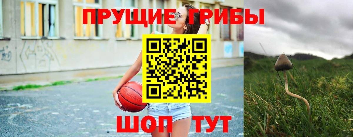 Галлюциногенные грибы Psilocybe Печора